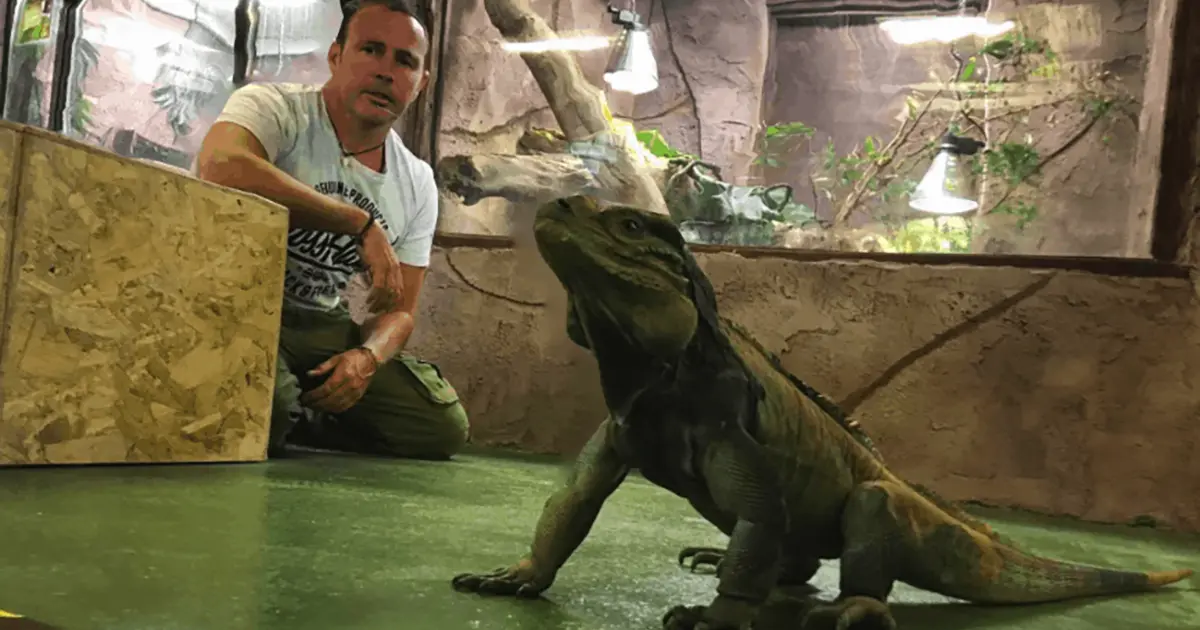 National Reptile Zoo